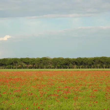 Complesso Solarium Apartment Bibione