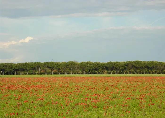 Complesso Solarium Lägenhet Bibione
